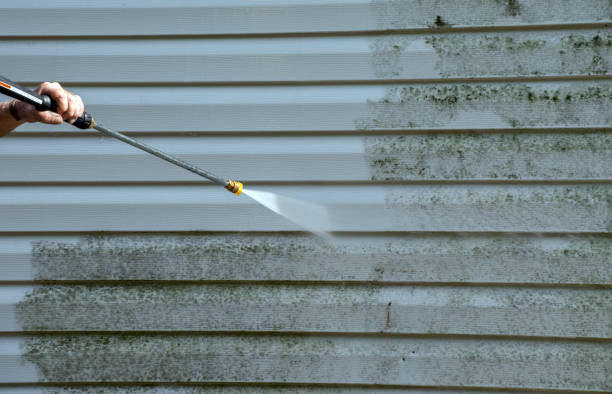 Professional Pressure Washing in Kilauea, HI